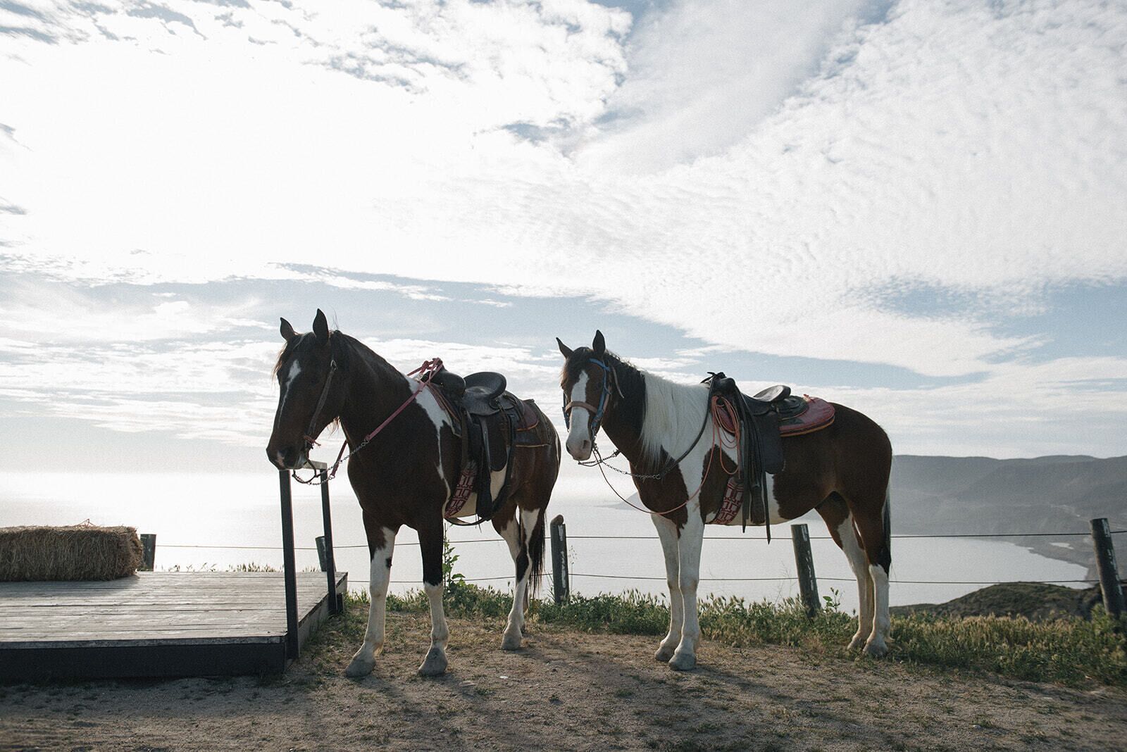 Foto - Hotel Cuatro Cuatros