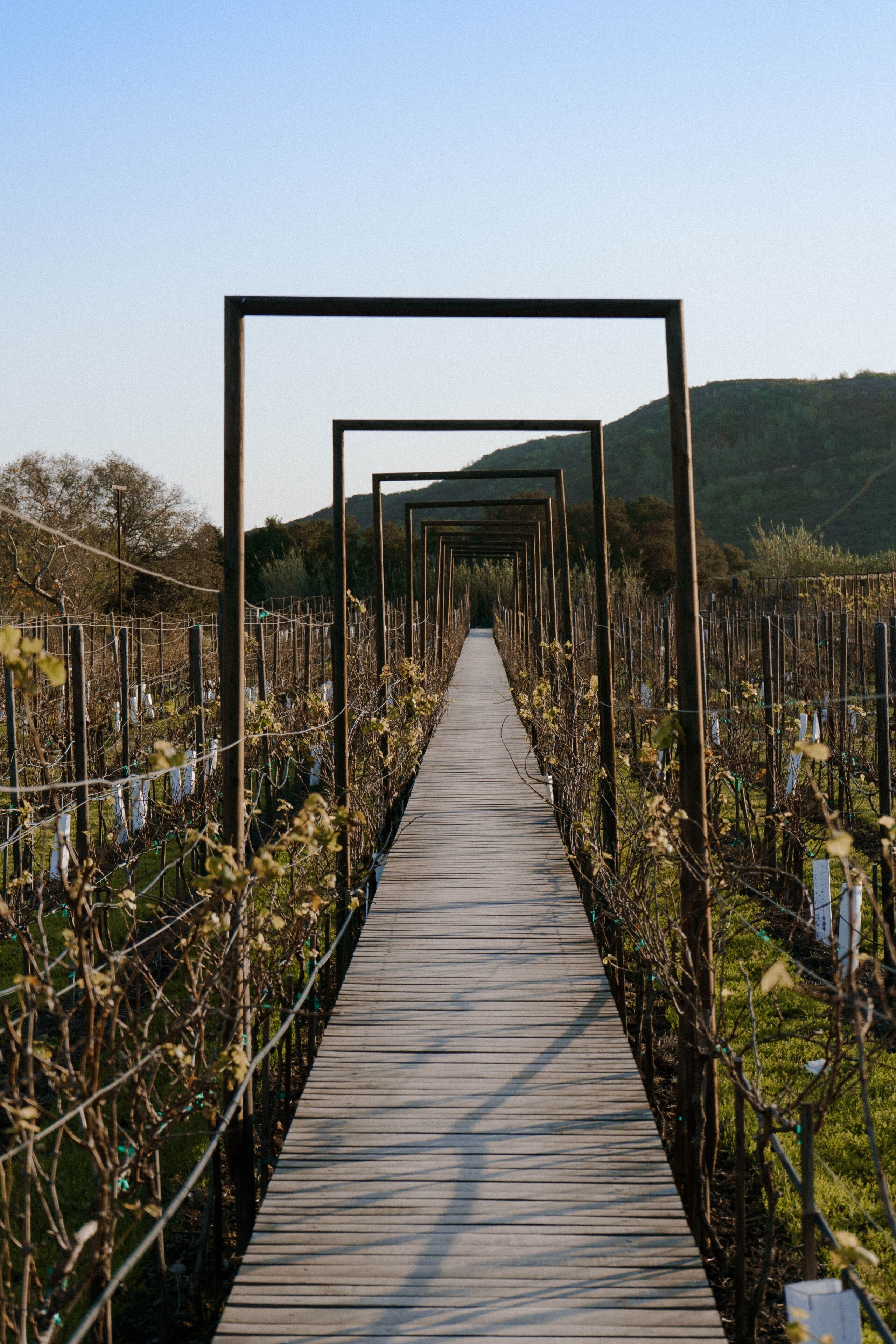 Foto - Hotel Cuatro Cuatros