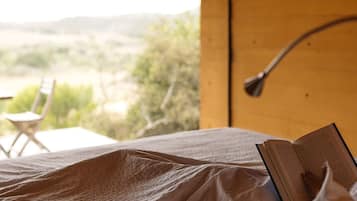 Quarto design | Edredons de pluma, cofres nos quartos, ferros/tábuas de passar roupa