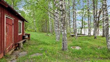 A red cabin with a stone pathway leading to it, surrounded by birch trees and a grassy area.