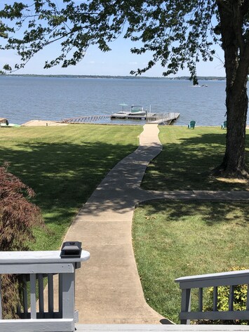 View of the backyard. 