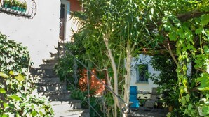 Ein Gartenbereich mit einer Steinstufe, die zu einem Gebäude führt.