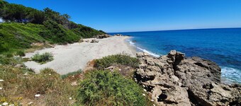 Detached house on 600 m2 of private grounds, 5-minute walk from beaches.