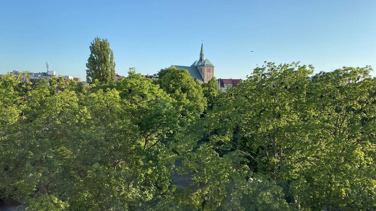 Image de profil de l’hôte