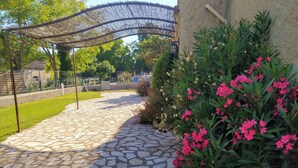 Een pad van stenen leidt naar een overdekt gebied met een pergola, omgeven door weelderig groen en bloeiende planten.