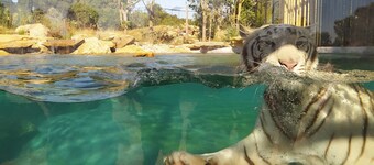 Comfortable 110m² air-conditioned gîte in the heart of Provence