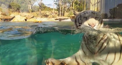 GĂźte confortable de 110mÂČ au cĆur de la Provence climatisĂ©