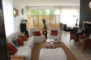 Smart TV, chimenea y libros 