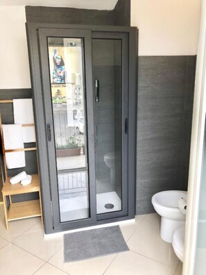 Shower, hair dryer, bidet, towels