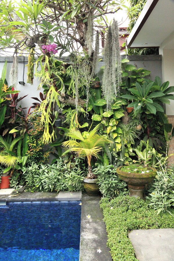 Vista del jardí