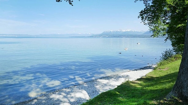 Un llac tranquil amb una vista clara de muntanyes llunyanes, una riba enjardinada i un arbre a la dreta.