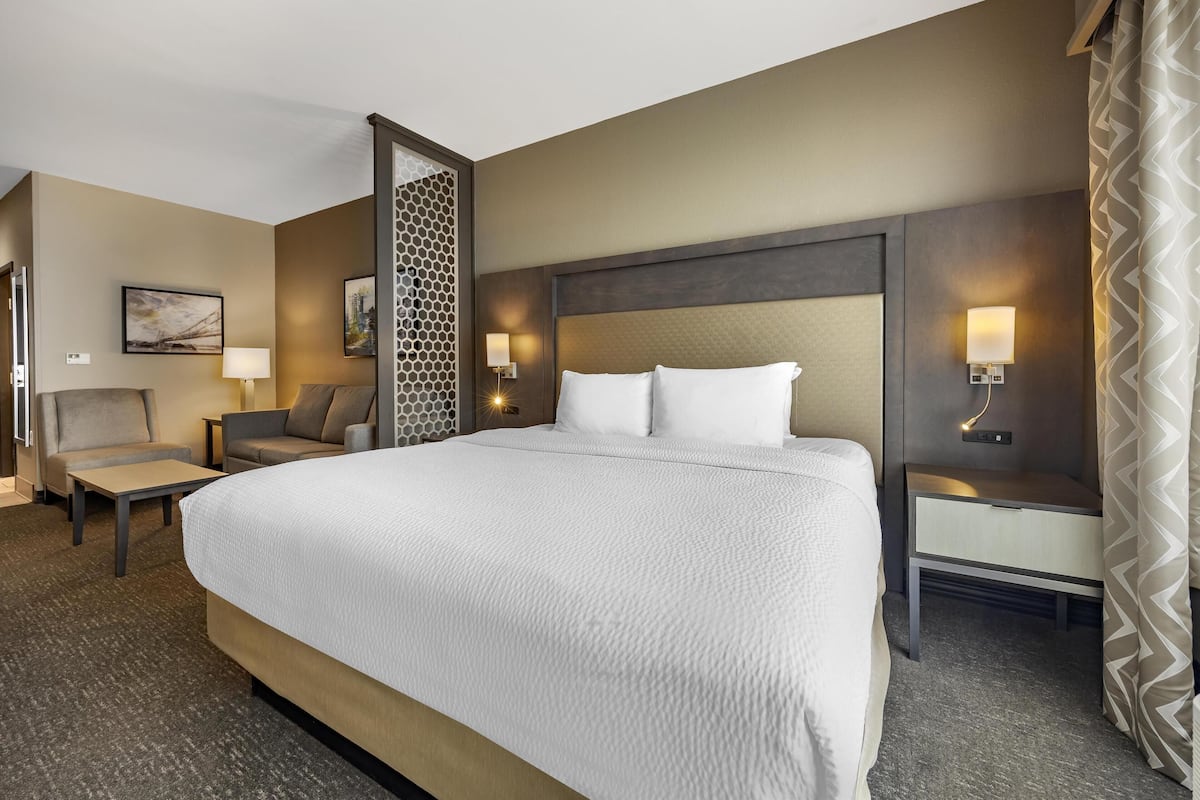 suite, 1 king bed, non smoking (walk-in shower;with sofabed) | 1 bedroom, pillow-top beds, desk, laptop workspace