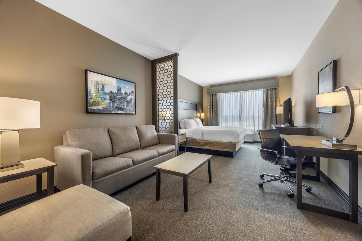Suite, 1 letto king, non fumatori (Walk-in Shower;with Sofabed) | Materassi a doppio strato, una scrivania, postazione laptop