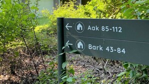 Uklassifisert bilde, 2 av 18, knapp