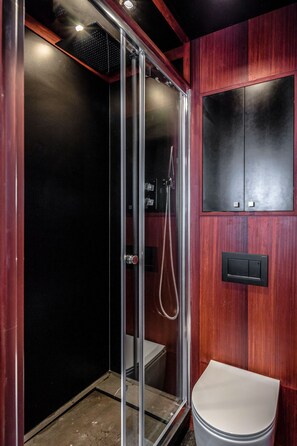 Shower, rainfall showerhead, hair dryer, towels