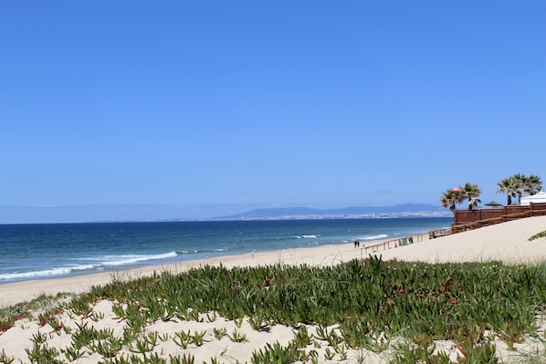 Beach nearby, sun loungers