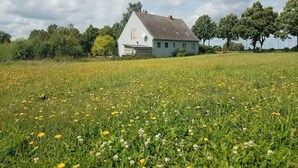 Ein Haus mit schrägem Dach und Satellitenschüssel, umgeben von einem Feld gelber Blumen und Bäumen im Hintergrund.