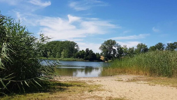 Eine natürliche Landschaft mit einem See, umgeben von dichter Vegetation und Bäumen.