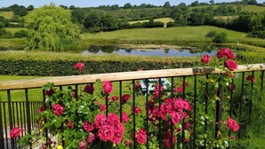 A garden with a pond, lush greenery, and pink roses in the foreground. - In Somerset (Bristol)
