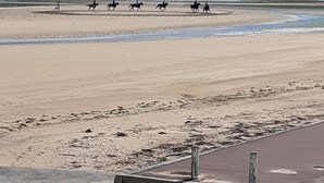 A beach with a horse riding path. - Beachfront apartment on Juno Beach (Bernières-sur-Mer)