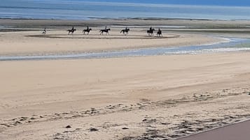 On the beach