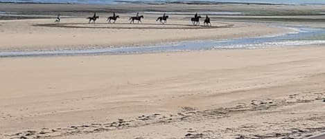 On the beach