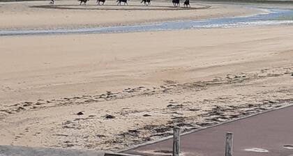Beachfront apartment on Juno Beach