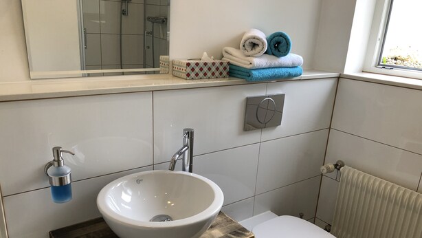 A bathroom with a white sink, a toilet, a mirror, and a towel rack with towels.