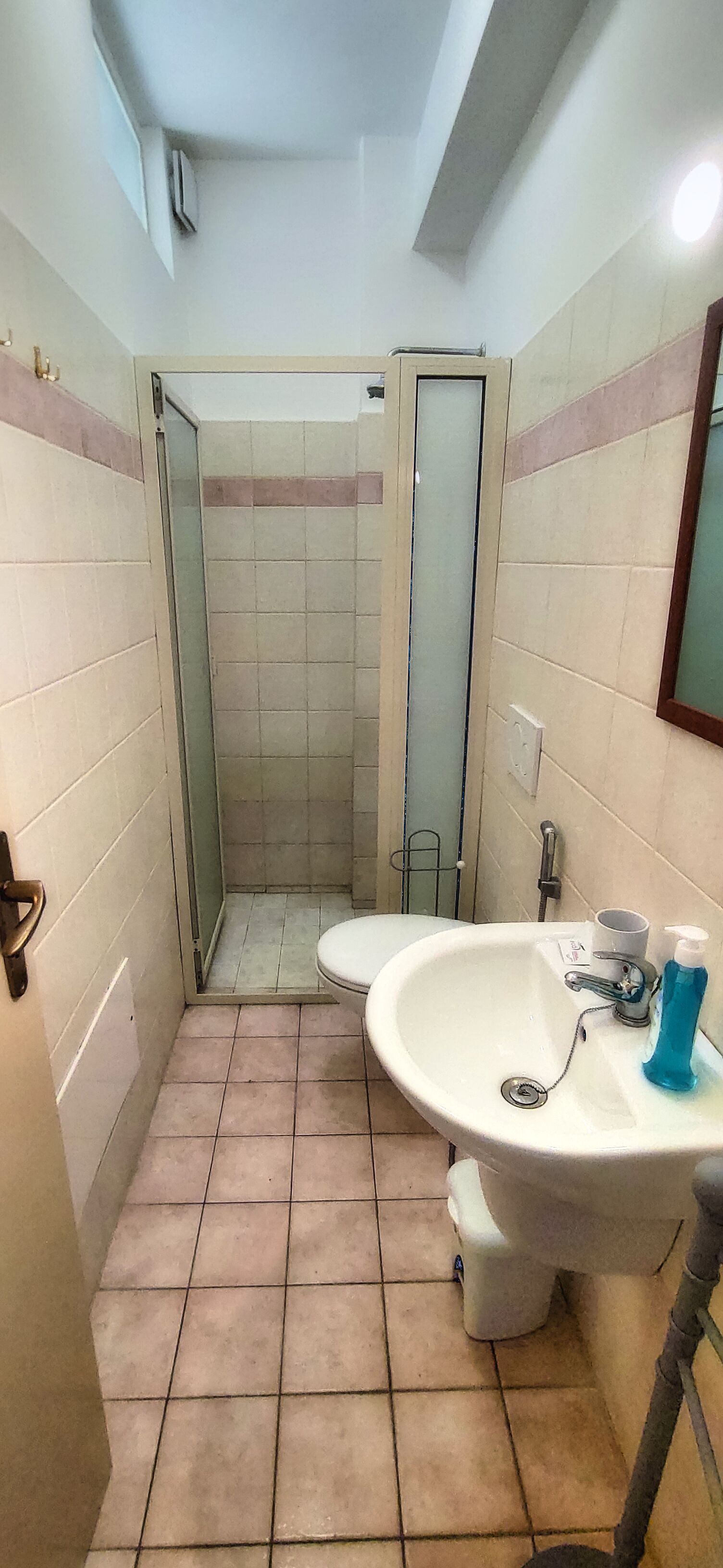 A bathroom with a shower, a sink with a mirror, and a toilet.
