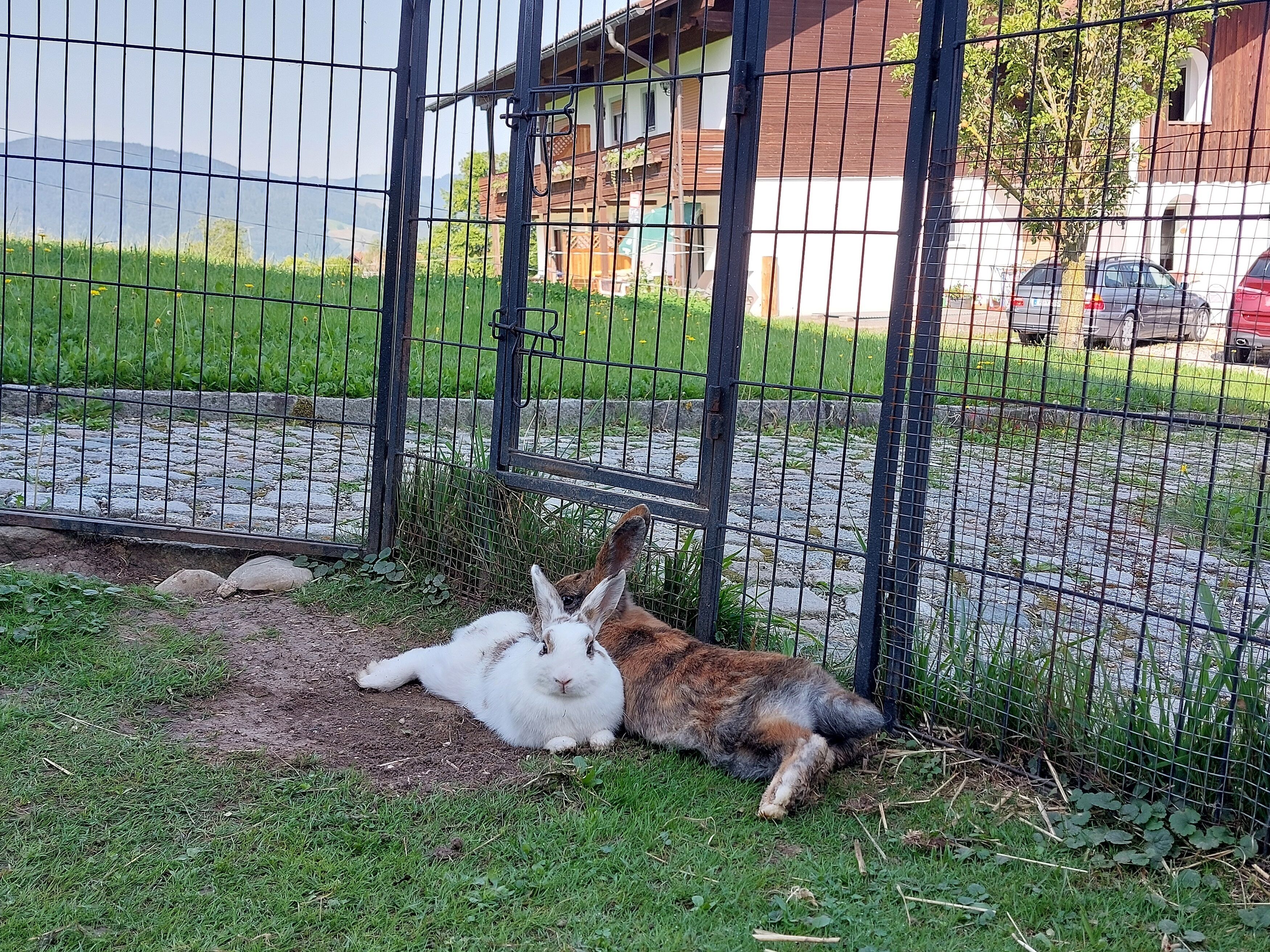 Áreas de la propiedad