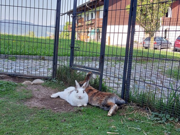 المنطقة المحيطة بالمنشأة