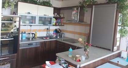 My Apartment