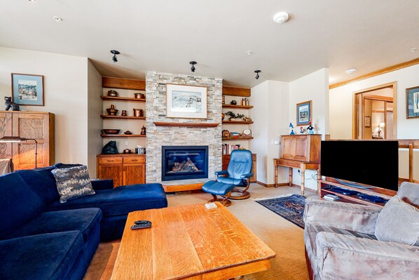 TV, fireplace, books