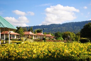 Exterior - Phutarafah Resort (Wang Nam Khiao)