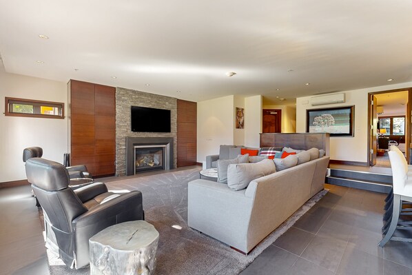 TV, fireplace, books