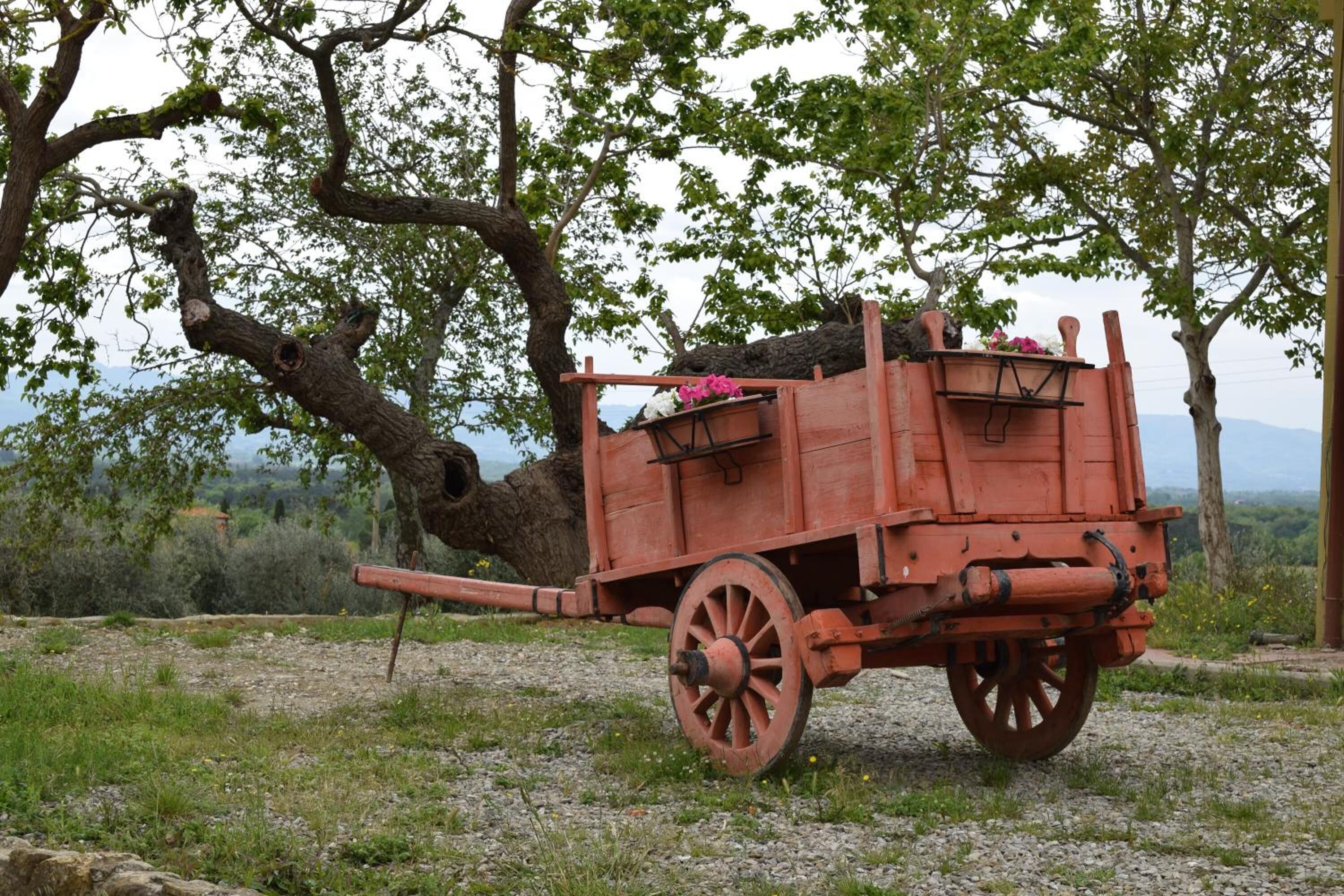 A wooden cart with flowers and a rustic setting.