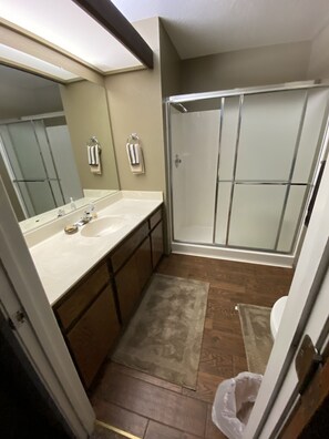 Combined shower/bathtub, hair dryer, towels, soap