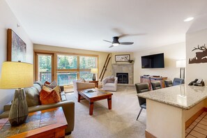 TV, fireplace, books