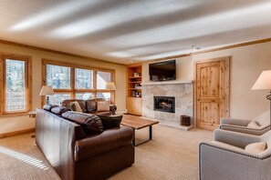 TV, fireplace, books