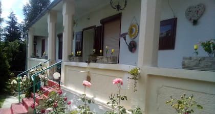 Hungarian old village guest house