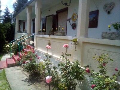 Hungarian old village guest house