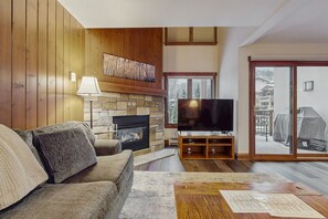 TV, fireplace, books