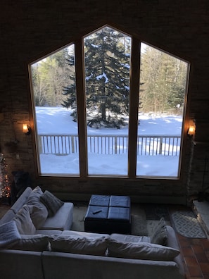 TV, caminetto, libri