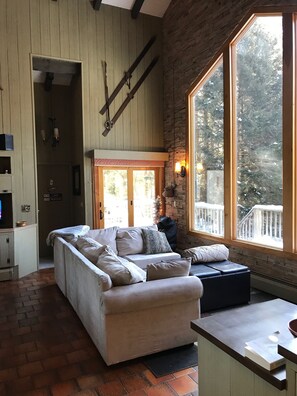 TV, fireplace, books