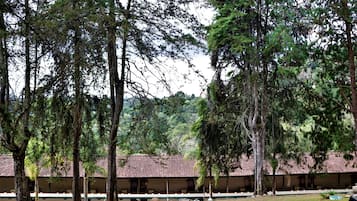 Standard Chalet (Alvenaria) | Garden view