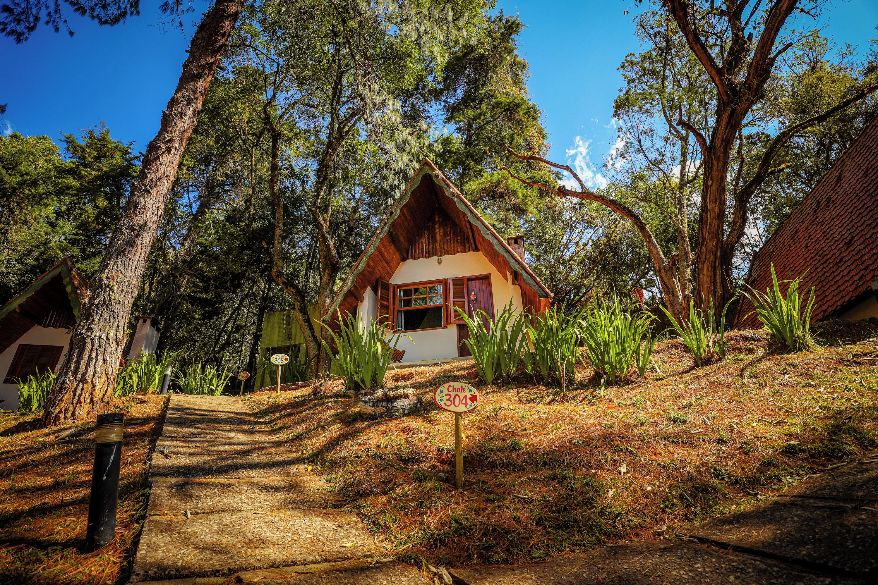 Standaard chalet (Alvenaria) | Uitzicht vanuit de kamer