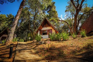 A rustic cabin with a steep, wooden staircase leading to the entrance, surrounded by dense trees and greenery.