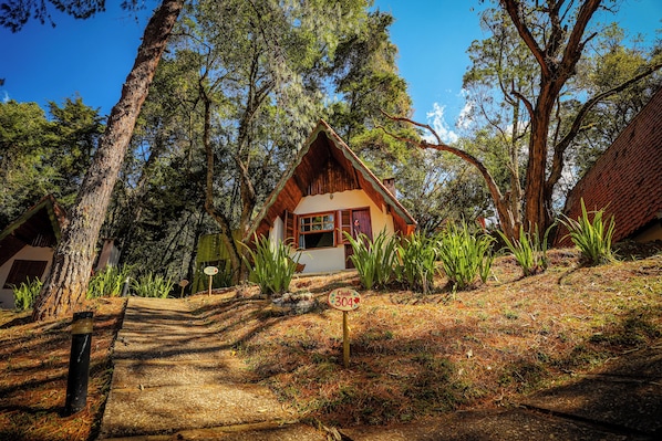 Vista desde la habitación