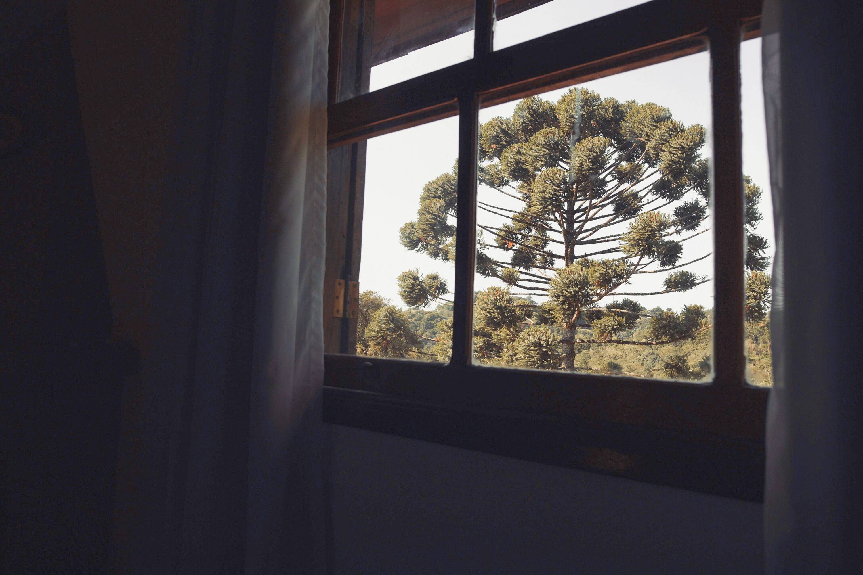 quarto superior duplo | view from room