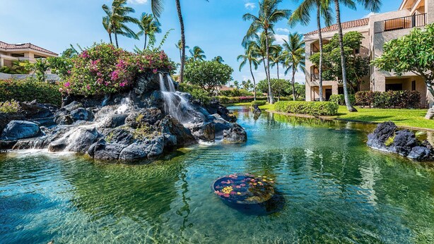 A resort with a clear pool, a waterfall, and palm trees.